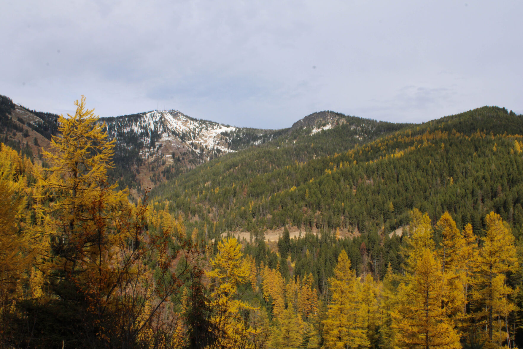 Crandall_Snowbowl01.jpg